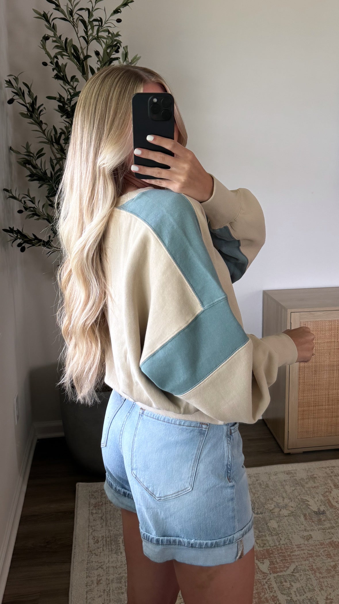 Blue + Tan Contrast Pullover