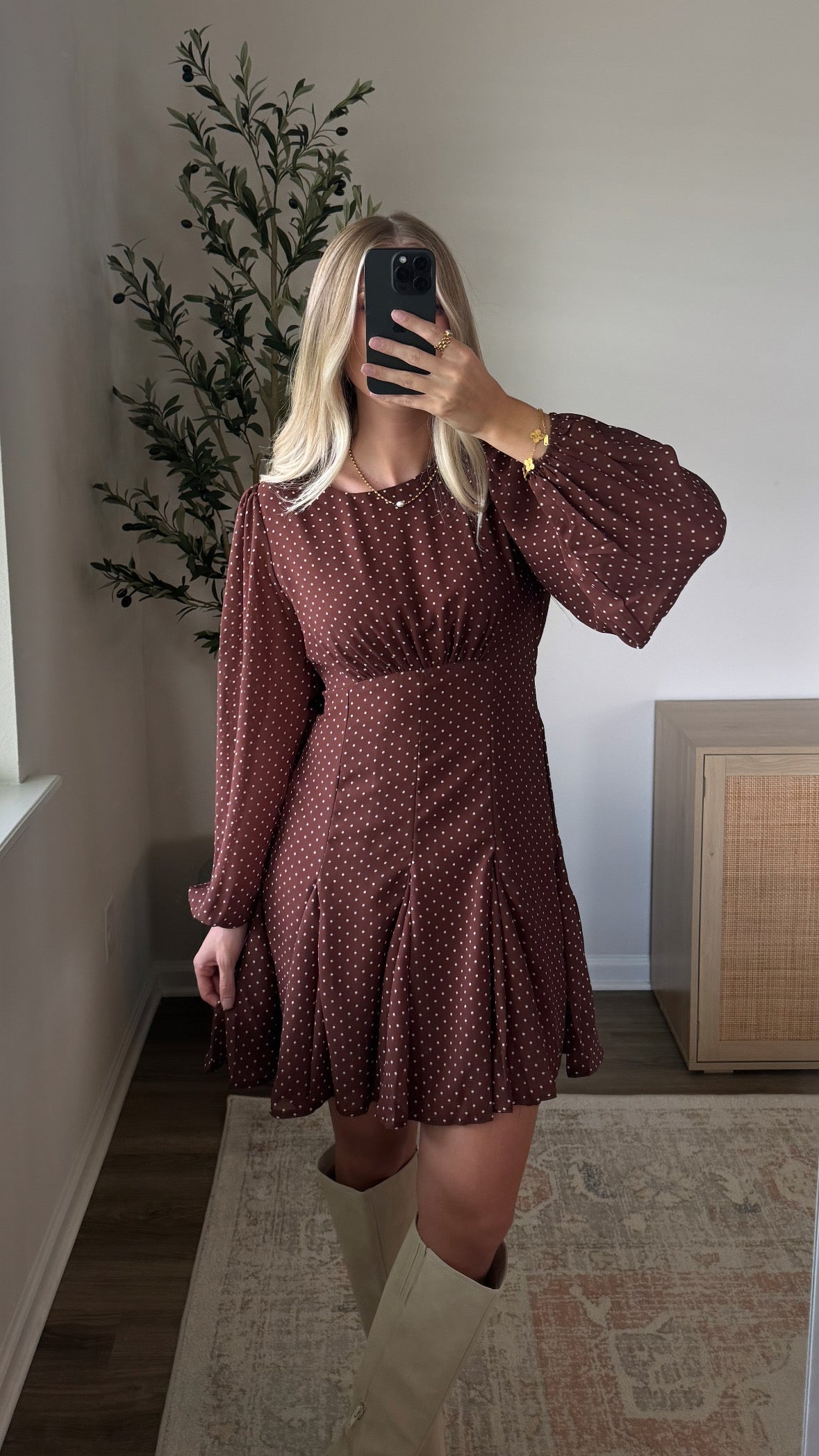 Polka Dot Mini Dress / Brown