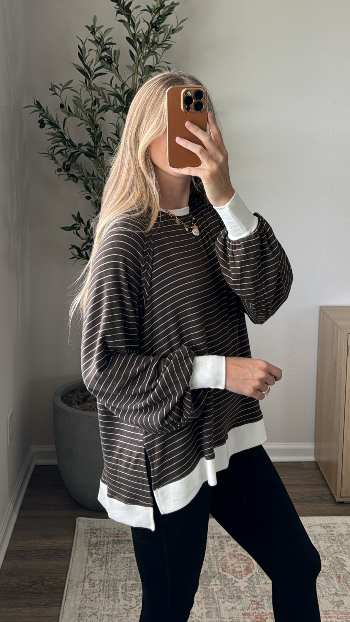 Striped Jersey Pullover / Brown