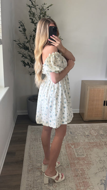 Dainty Floral Mini Dress