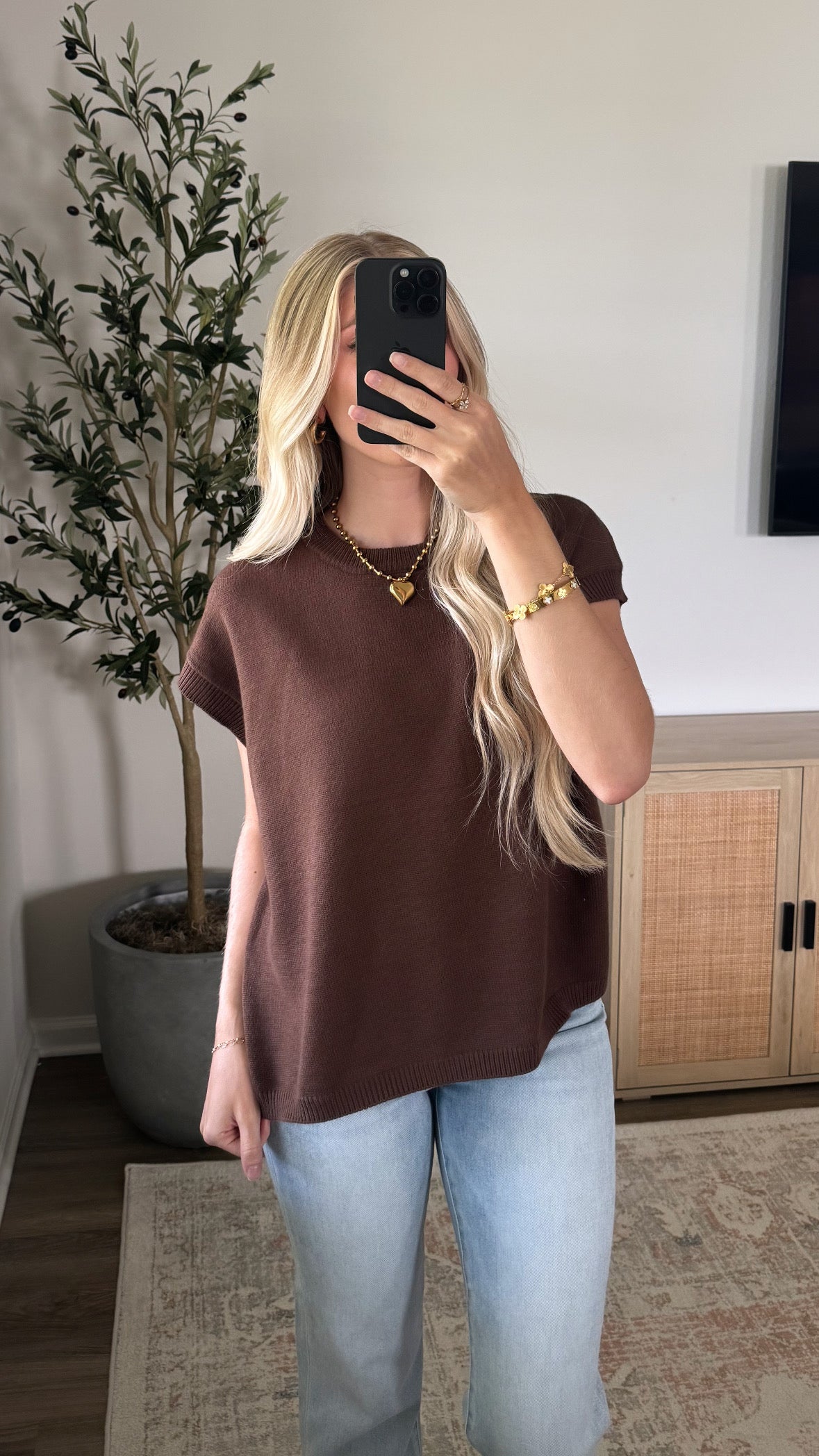Classic Sweater Vest / Brown