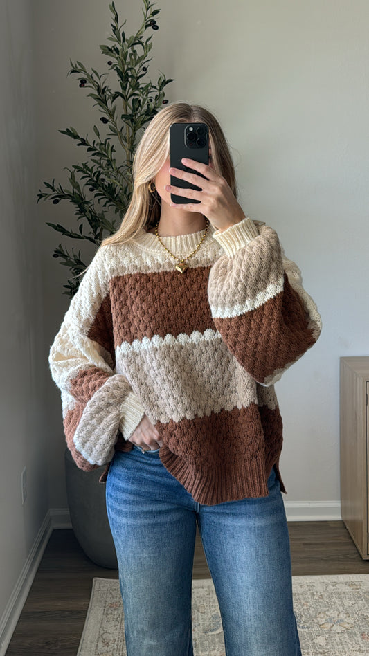 Autumn Knit Sweater / Brown Multi