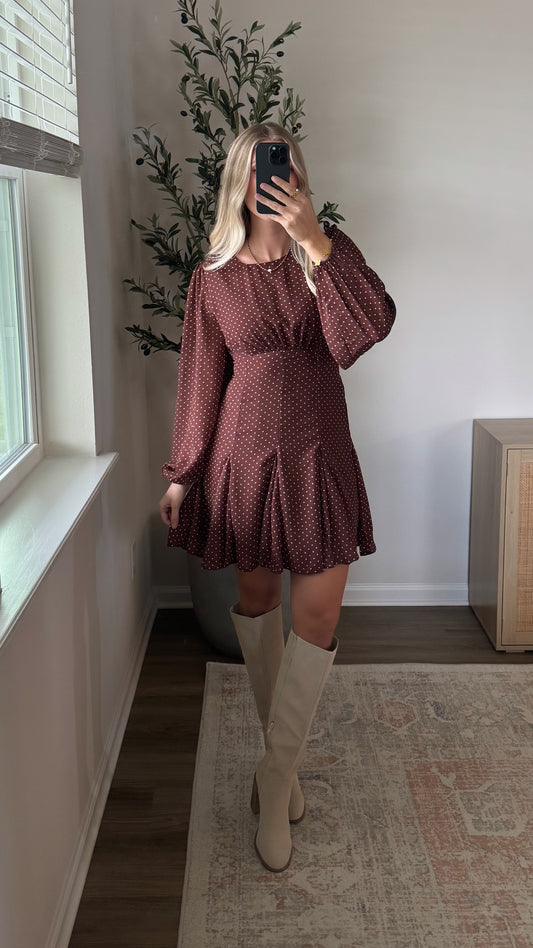 Polka Dot Mini Dress / Brown