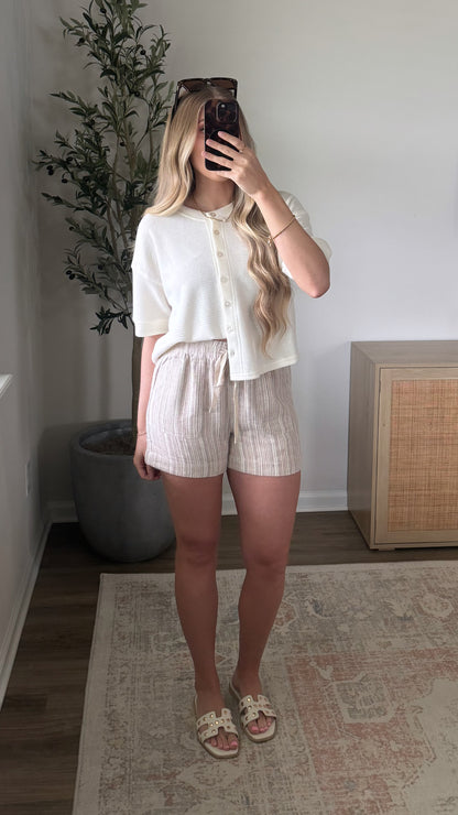 Linen Blend Shorts / Mocha Stripe