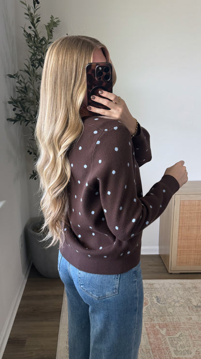 Polka Dot Cardigan / Brown + Blue