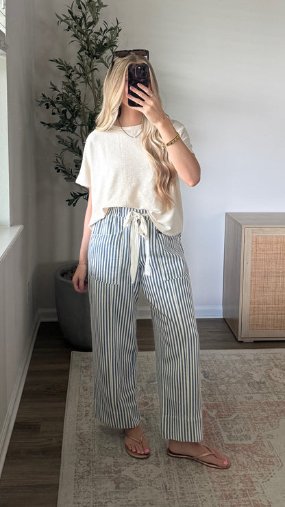 Vineyard Striped Pants / Navy Blue