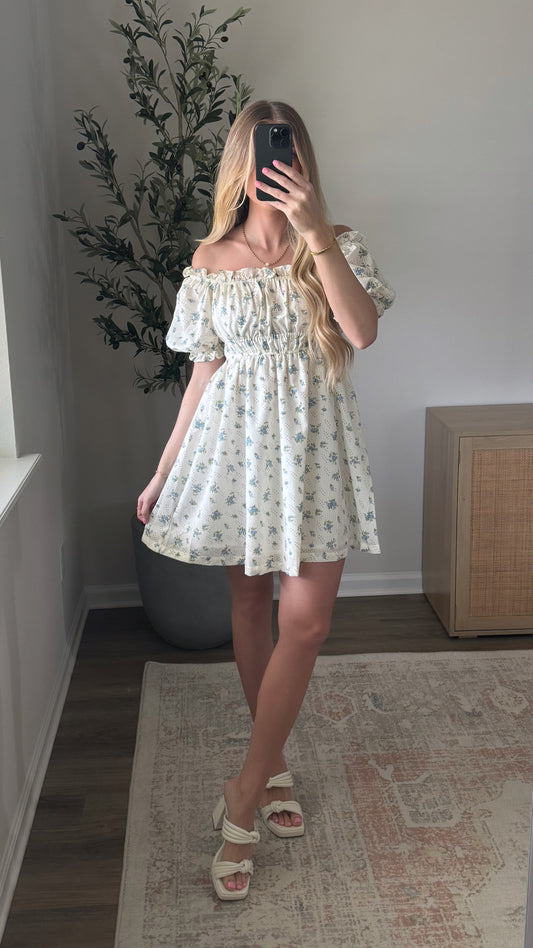 Dainty Floral Mini Dress