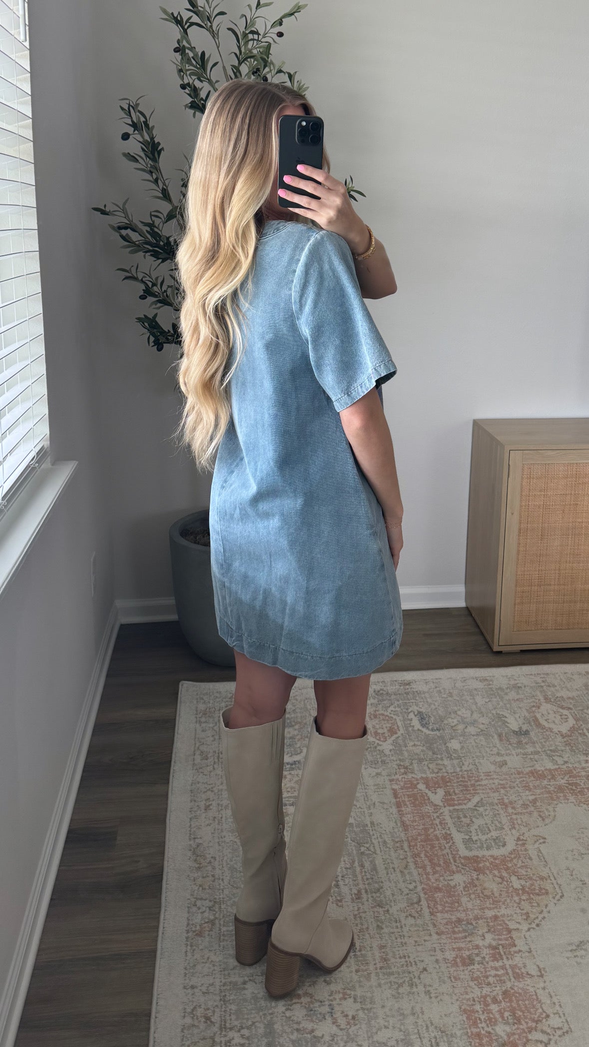 Classic Denim Dress