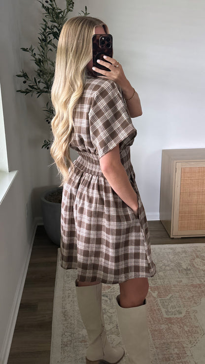 Plaid Pleated Dress / Brown