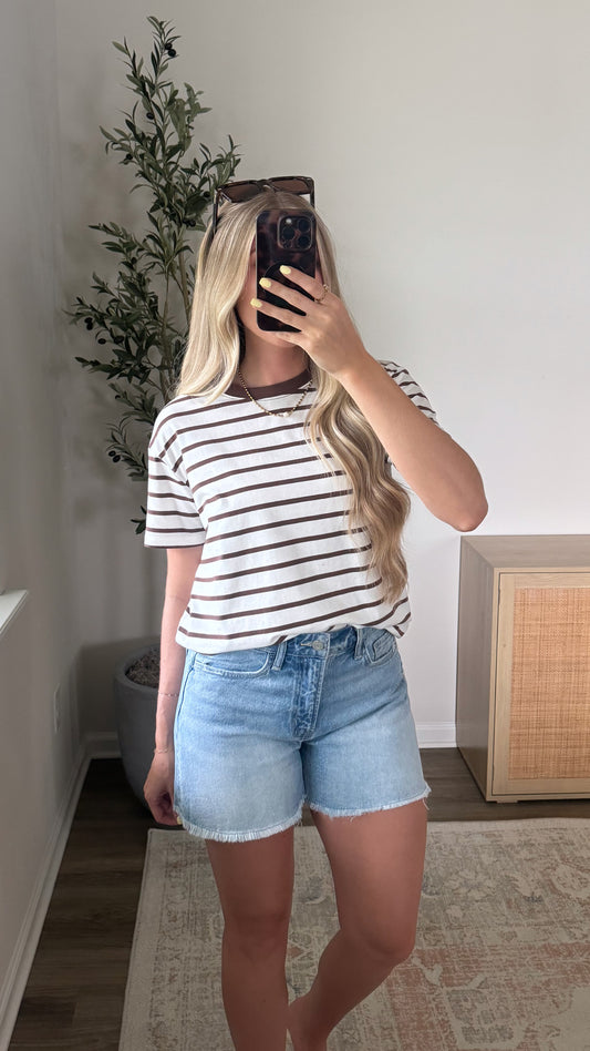 Contrast Striped Tee / Brown