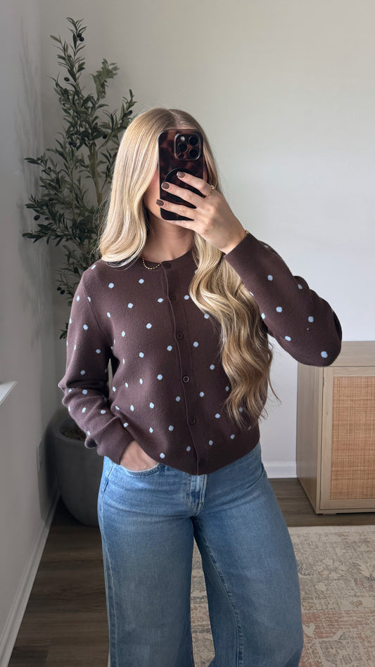 Polka Dot Cardigan / Brown + Blue