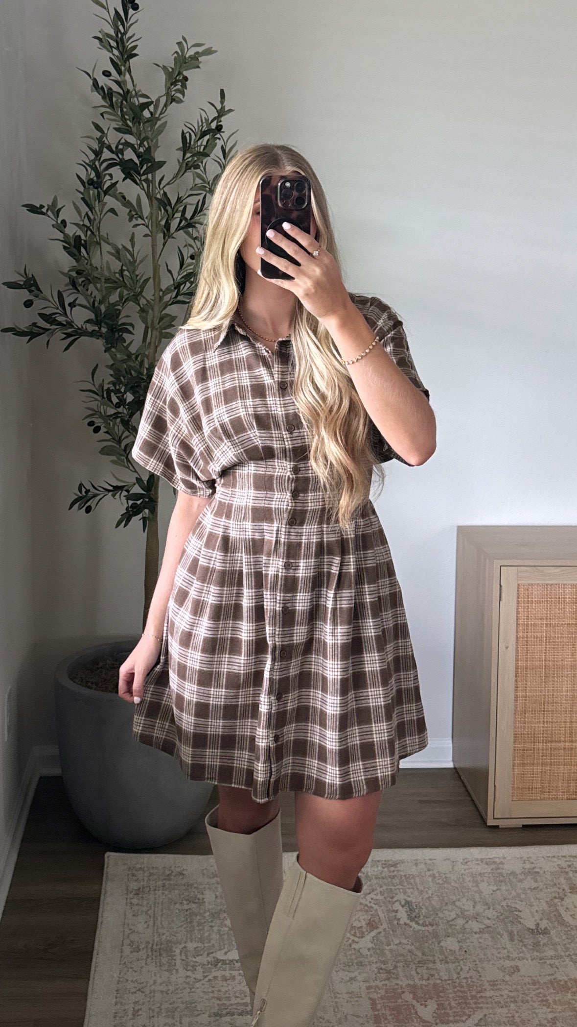 Plaid Pleated Dress / Brown