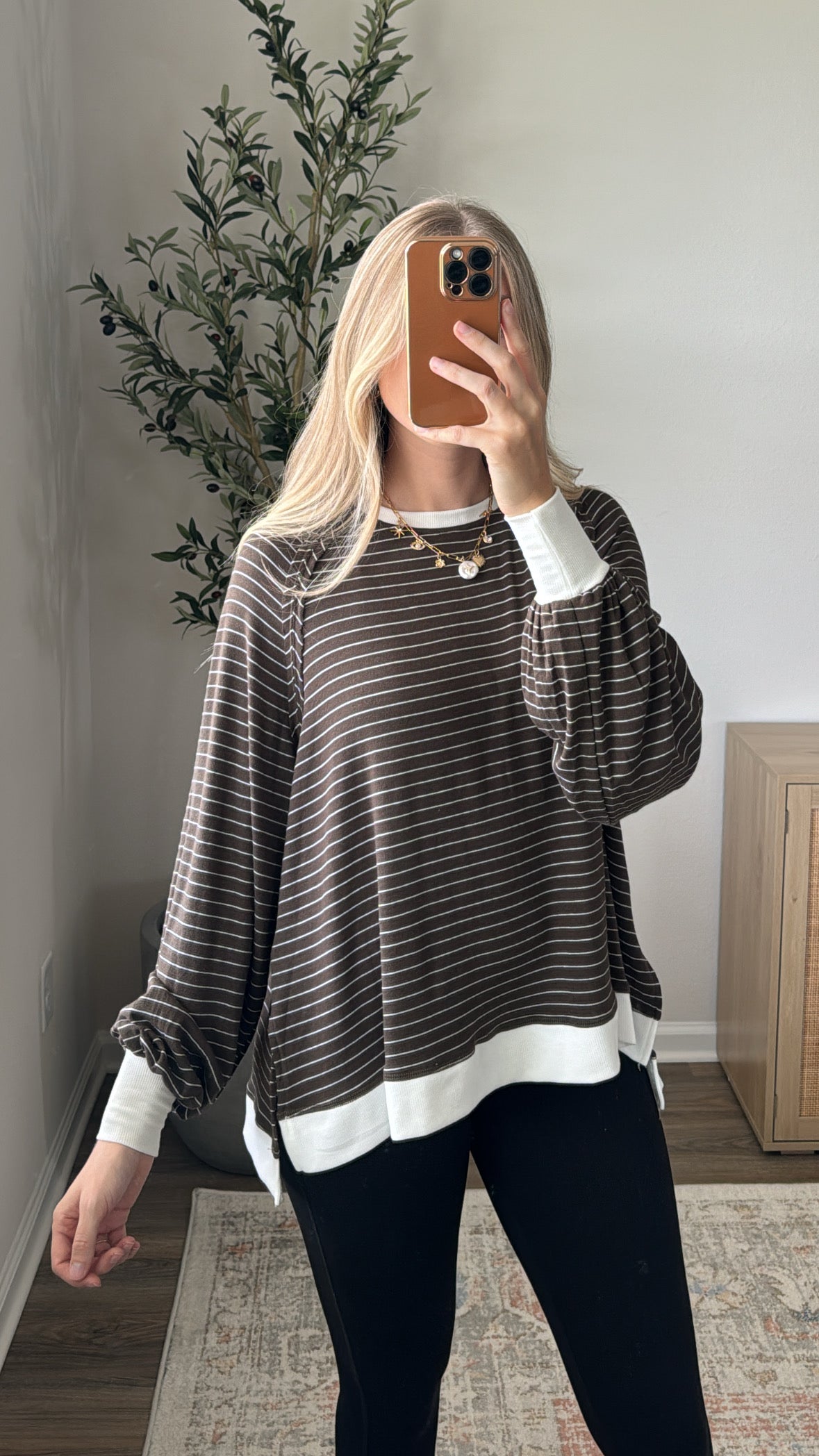 Striped Jersey Pullover / Brown